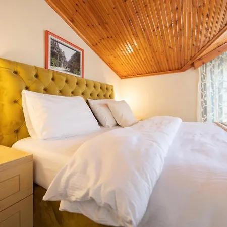 بيت ضيافة Arber 3*