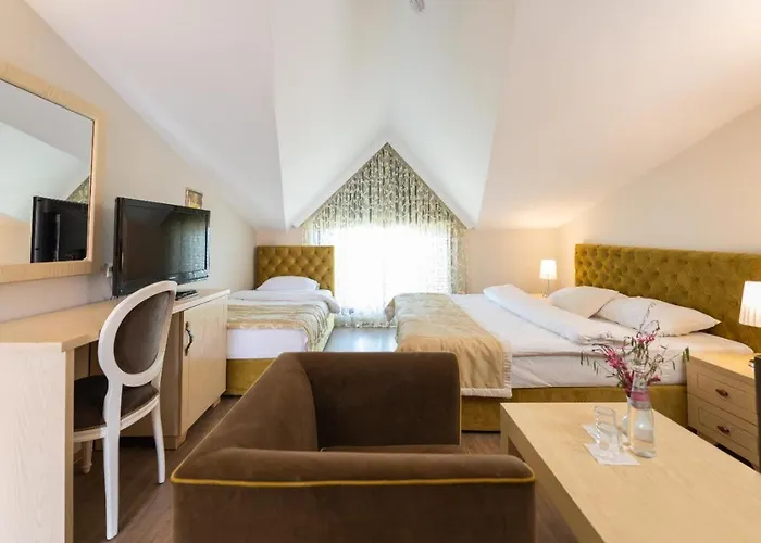 Guest house Arber 3*